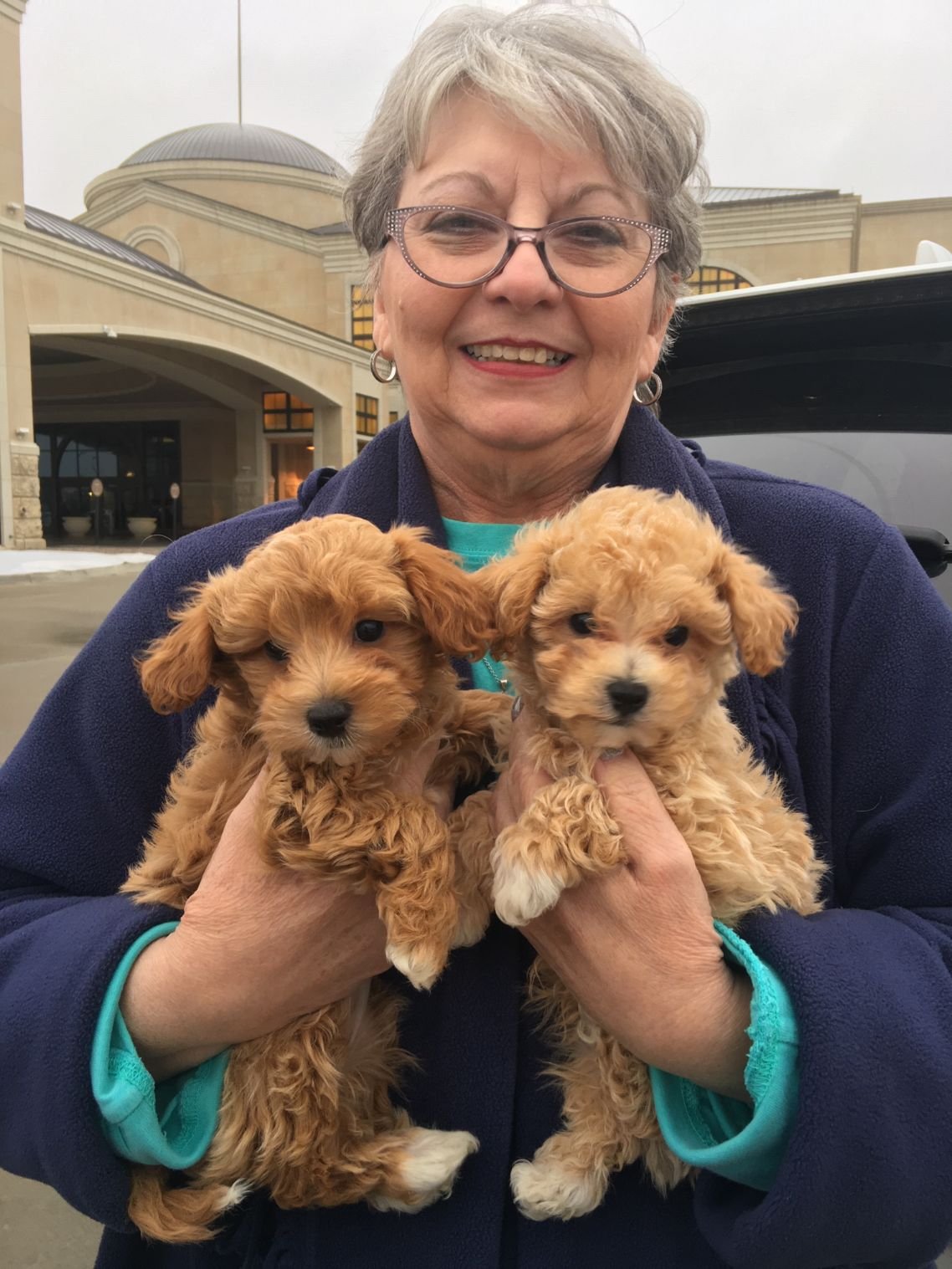 Sold puppy photo