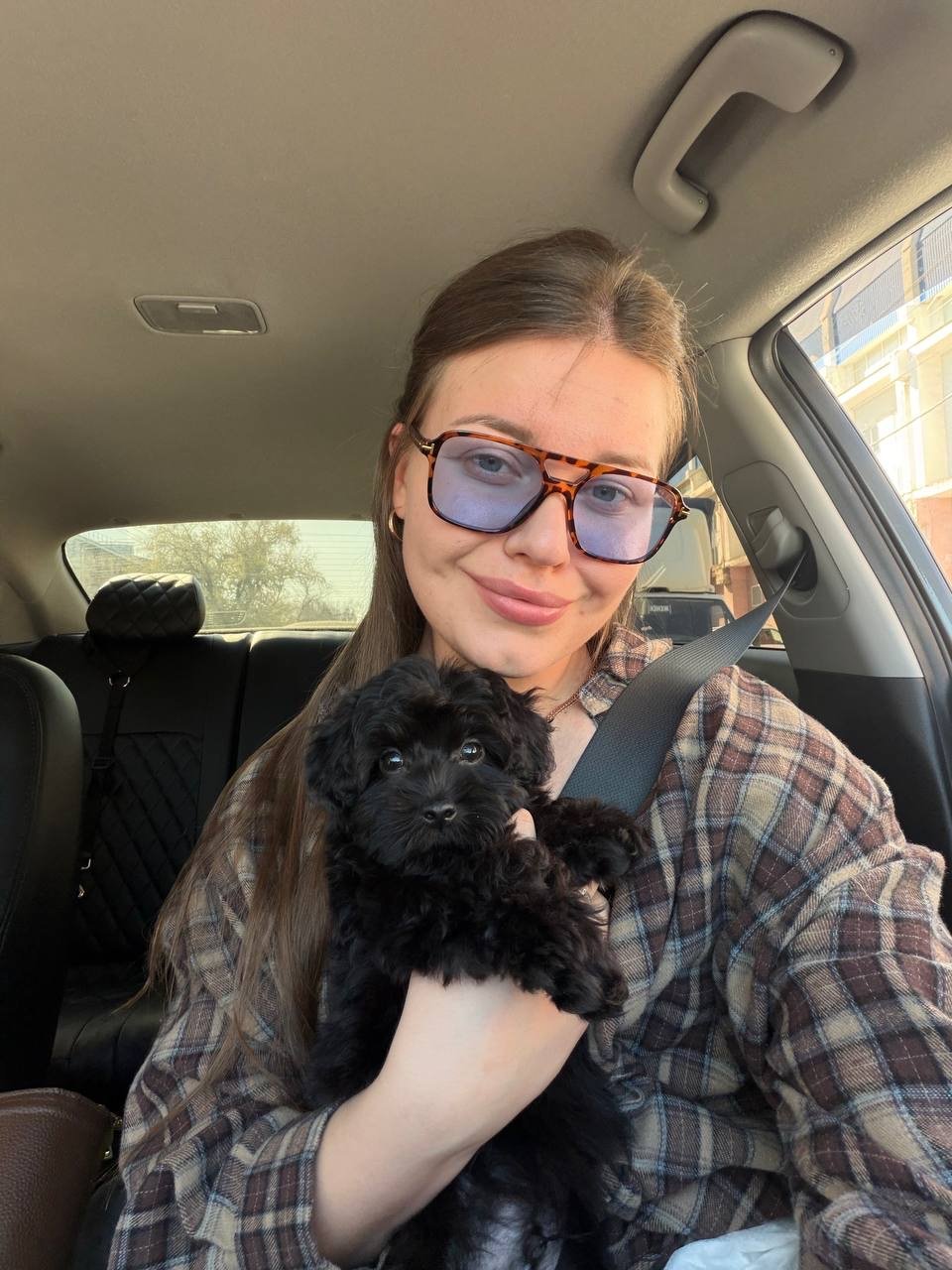 Sold puppy photo